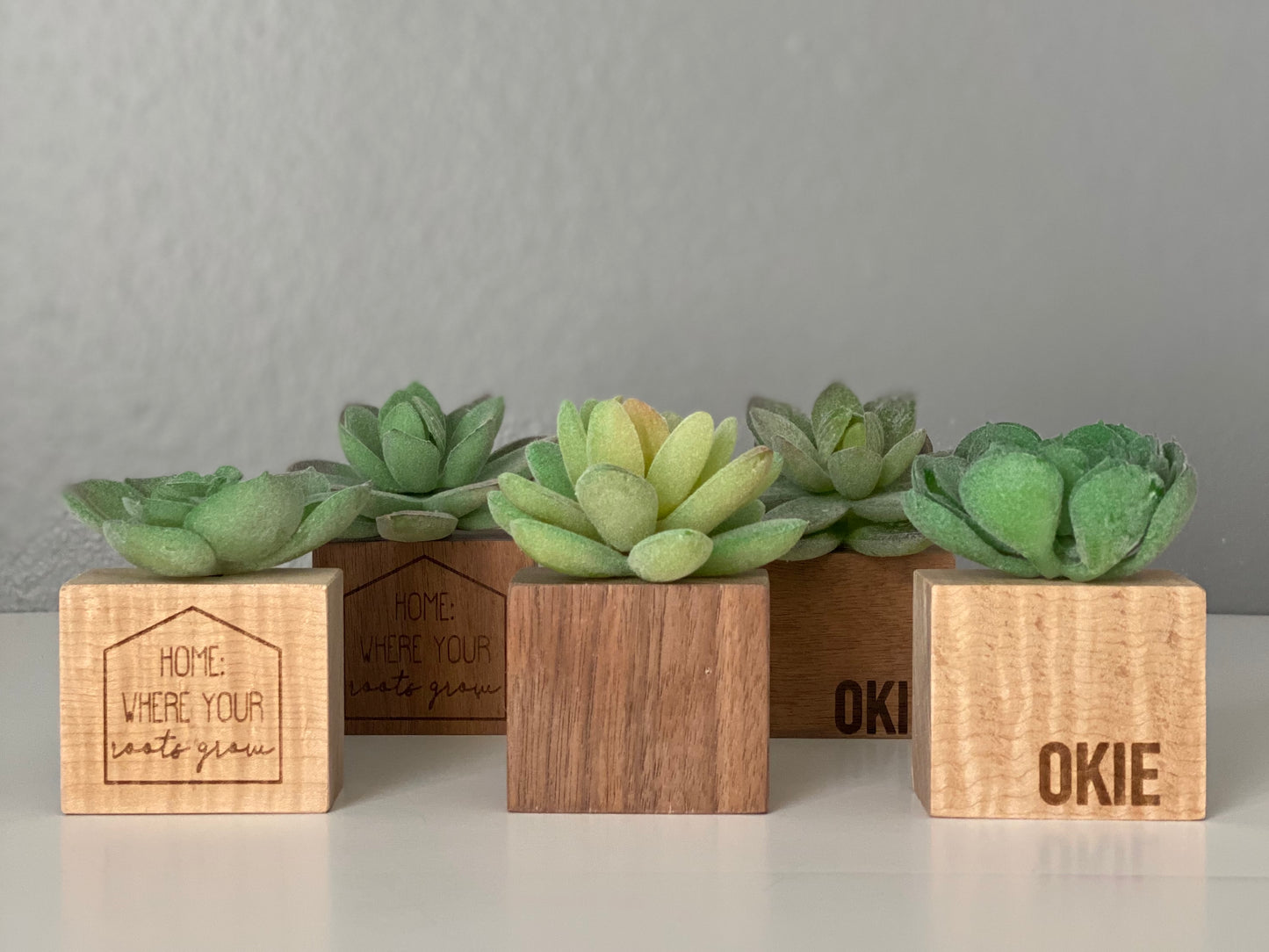 Succulent Decor